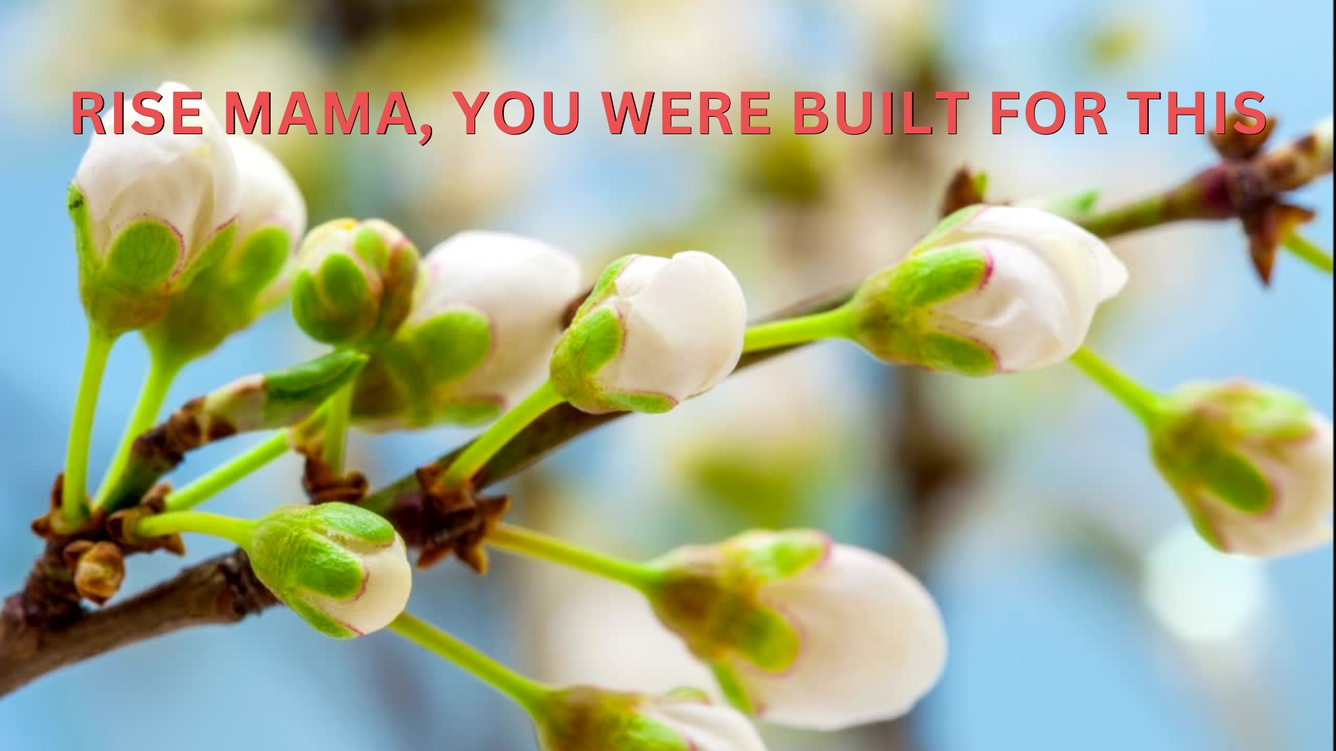 Rise Mama, You Were Built for This I Angela Fox
